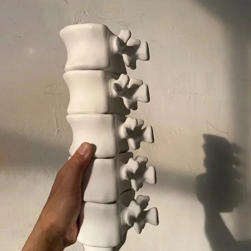 TingKe-Nordic Ins Style Creative Spine Shape Combination Ceramic Coffee Cup, Water Cup, Funny Orthopedic Doctor Gift, Bone Mug